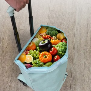 BY04-S Wholesale Collapsible Foldable Shopping Grocery Foldable Cart Trolley Bag Folding Shopping Cart Trolley With Wheel